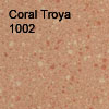 1002 Coral Troya