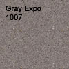 Gray Expo