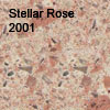 Stellar Rose