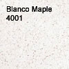 Blanco Maple