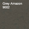 Grey Amazon
