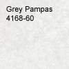 Grey Pampas